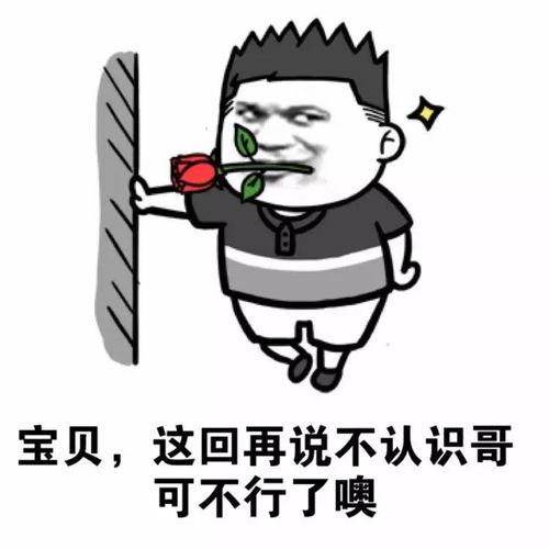 我要拘捕你表情包,网络时代的幽默与讽刺 第2张 我要拘捕你表情包,网络时代的幽默与讽刺 第2张