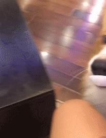 单身狗搞笑动图,笑出腹肌的单身日常