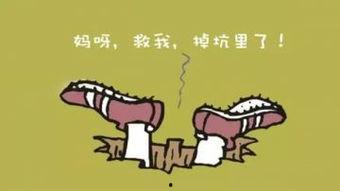 被坑的图片,被坑图片背后的惊人真相