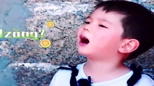 嗯哼大王背景,揭秘童星背后的成长故事