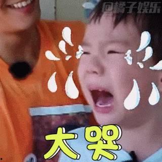 嗯哼大王背景,揭秘童星背后的成长故事  第2张