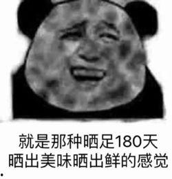 衫衫来了的表情包,表情包里的欢乐时光  第3张