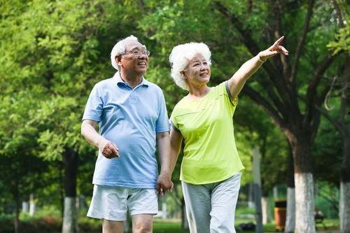 老人味,揭秘老人味的独特魅力  第3张