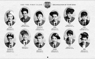 exo所有成员资料,星光熠熠的青春偶像群像  第2张