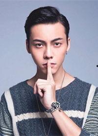 有明星背景的图片  第2张